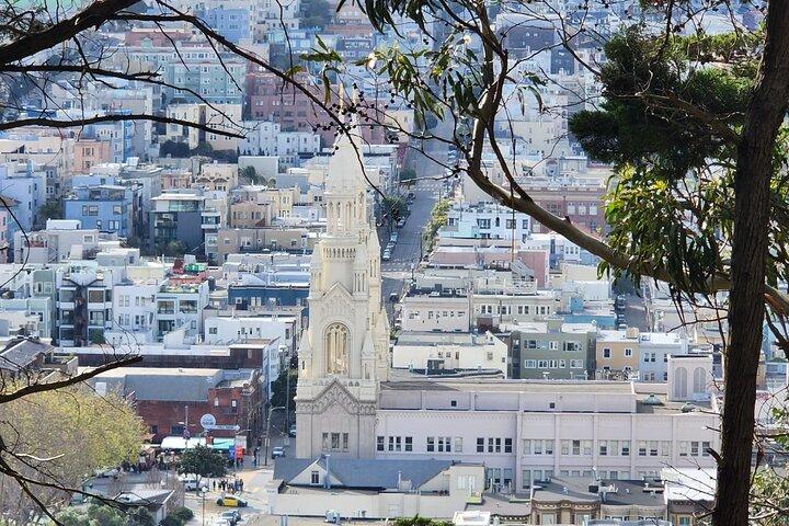 San Francisco Bay Cruise and City Combo Tour