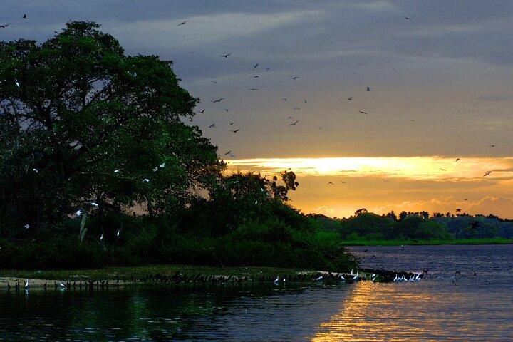 Bundala National Park All Inclusive Safari Tour from Hambantota