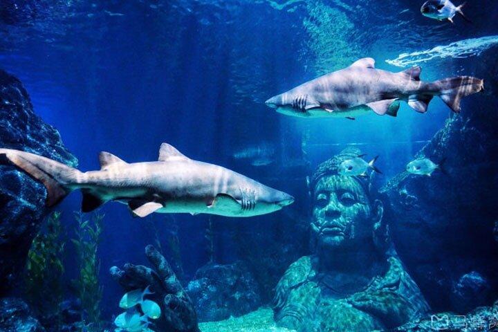 SEA LIFE Bangkok Ocean World Ticket