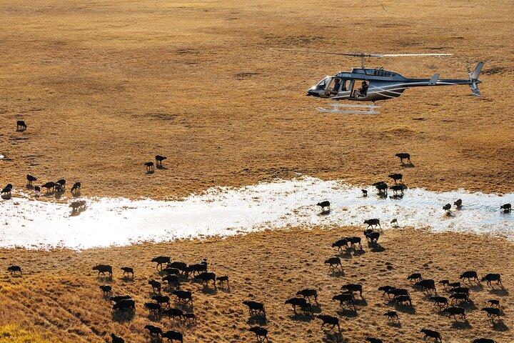 45-Minutes Okavango Delta Helicopter Tour with Champagne Stop