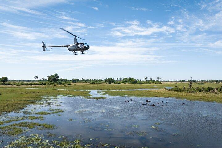 45-Minutes Okavango Delta Helicopter Tour with Champagne Stop