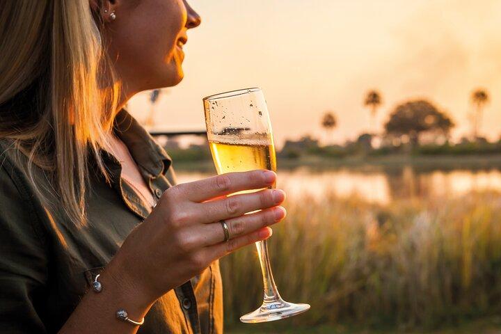 45-Minutes Okavango Delta Helicopter Tour with Champagne Stop