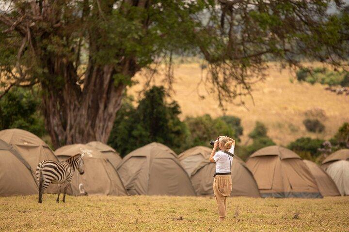 7-Days Private Budget Camping Safari with Walking Tour