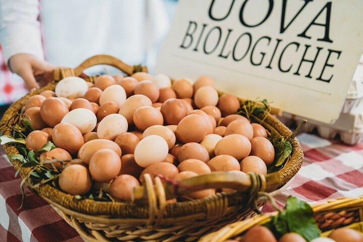 Florence Market & Cooking Class: Small Group Experience