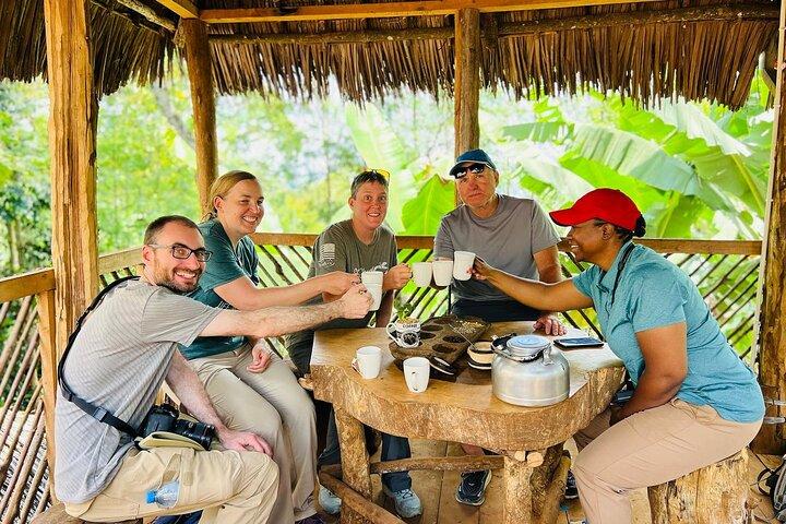 Materuni Waterfalls and Coffee Day Tour