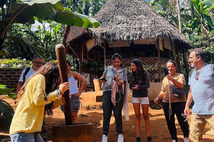 Materuni Waterfalls and Coffee Day Tour