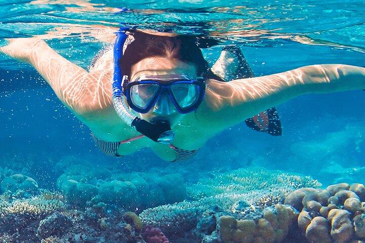 Mnemba Island Marine Safari Snorkeling and Dolphin Watching