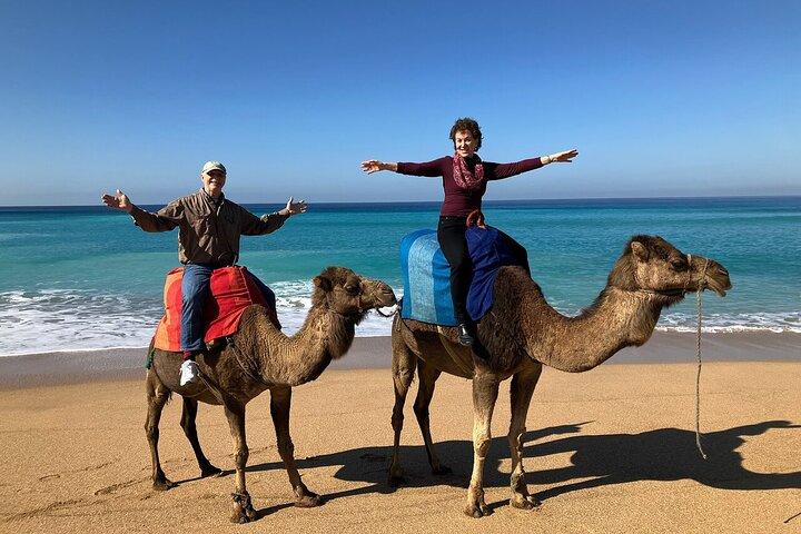 5 Hours Tangier Private Customised Tour