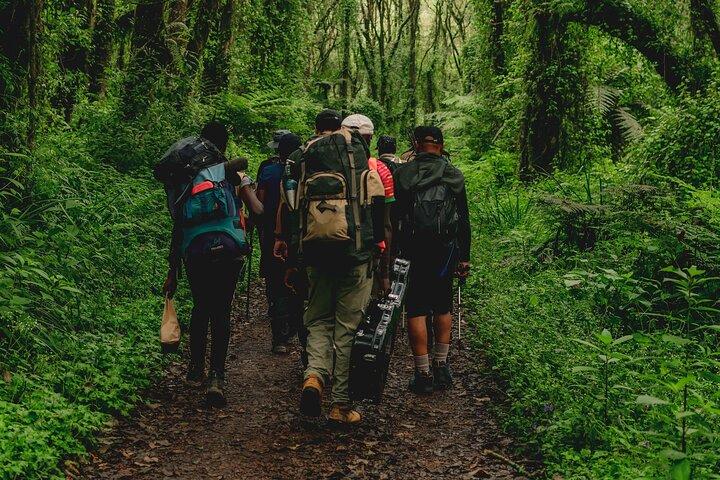 6-Days MT Kilimanjaro Hiking Private Tour VIA Marangu Route