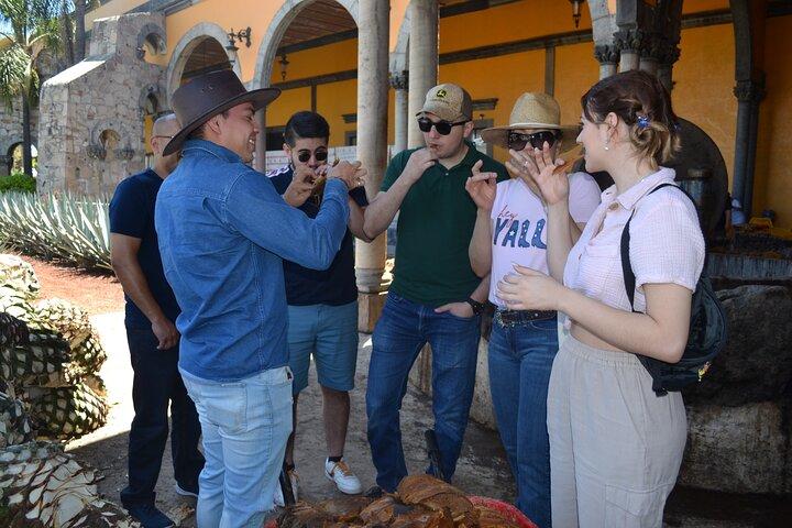 Premium Tour to the Tequila Route with Professional Tasting