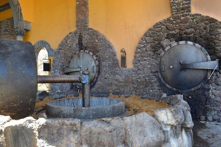 Premium Tour to the Tequila Route with Professional Tasting