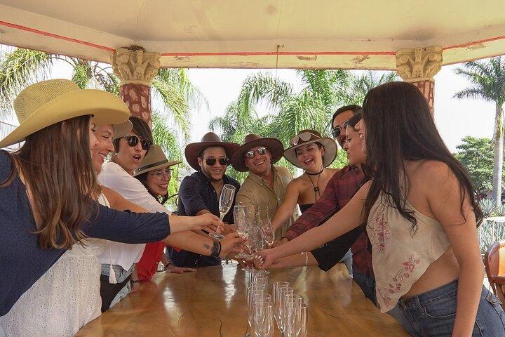Premium Tour to the Tequila Route with Professional Tasting
