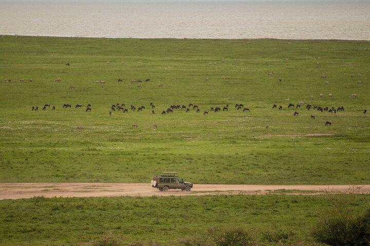 4 Days Private Mid Range Safari