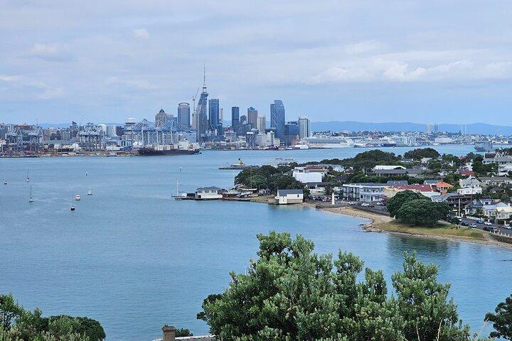 Auckland City Halfday Tour