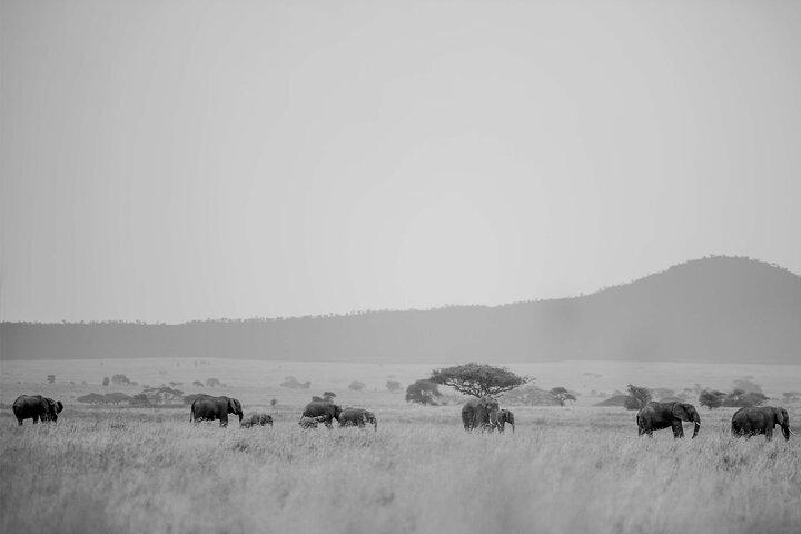 5 Days Private Mid Range Safari
