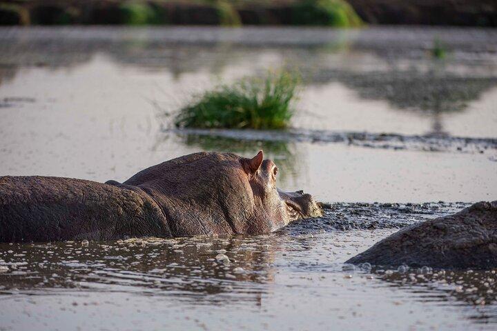 5 Days Private Mid Range Safari