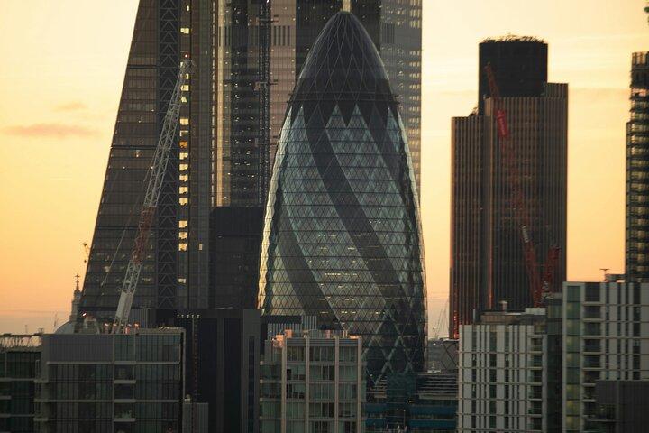 London Top Sights Private Tour: 30+ Top London Sights