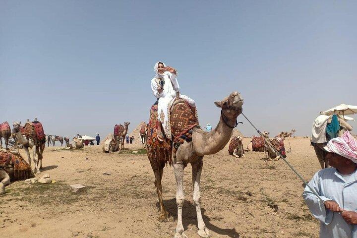 Half Day Tour Giza Pyramids& Great Sphinx with Private Tour Guide