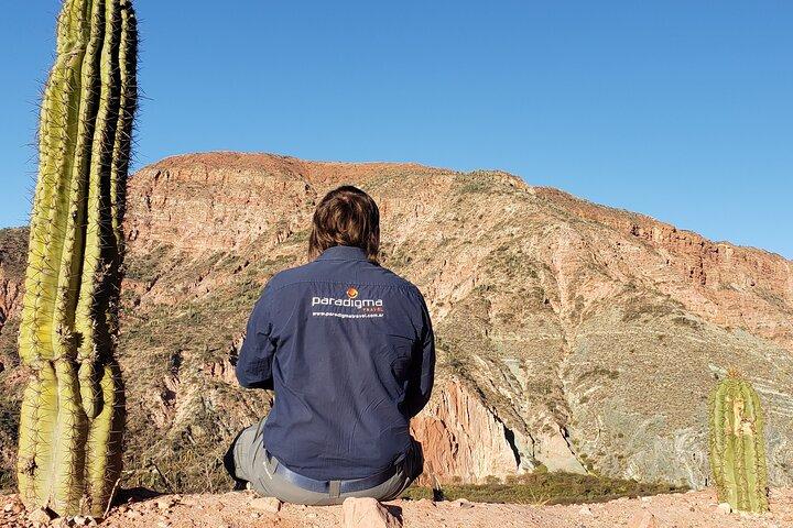 Cachi Full Day Tour with Los Cardones National Park