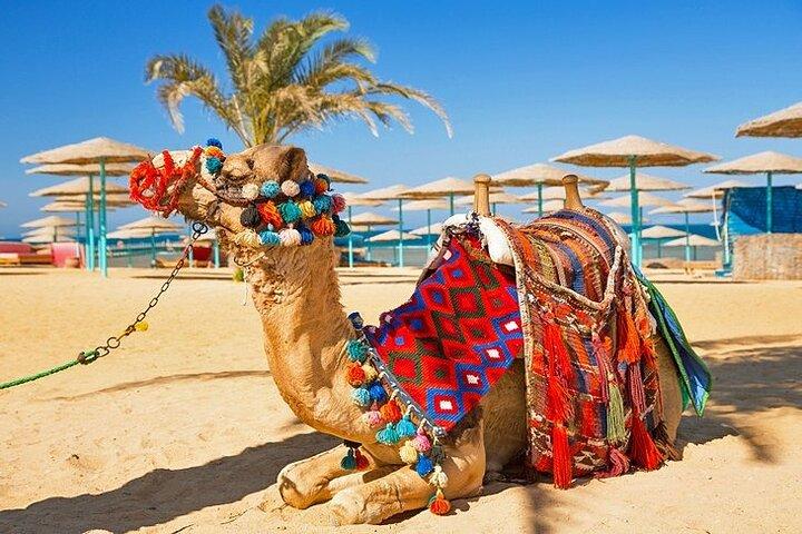 Hurghada Overnight from Luxor with private transfers