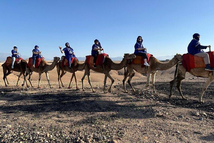 Small group to Atlas Mountains 4valleys;Waterfulls and camel Ride experience