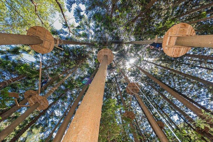 Treetops Adventure The Hills - Tree Ropes Course