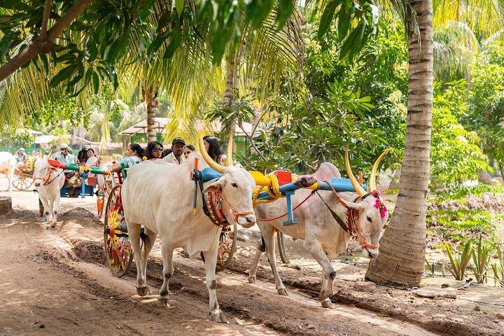 Skip the Line: Meher Retreat Day Picnic Ticket, Near Pune