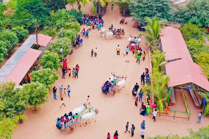 Skip the Line: Meher Retreat Day Picnic Ticket, Near Pune