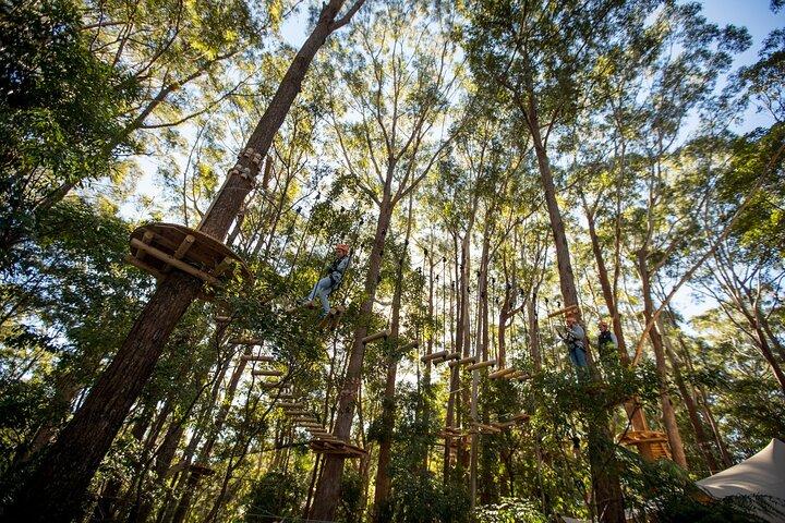Western Sydney Tree Ropes Course