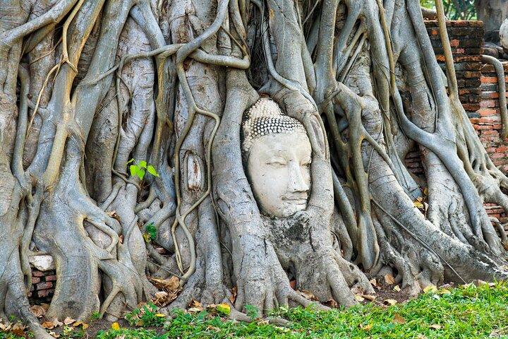 Ayutthaya Summer Palace and Temples Day Tour from Bangkok