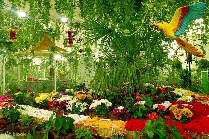 Butterfly Garden Dubai Ticket