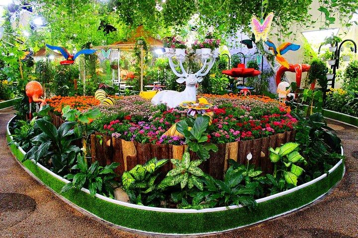 Butterfly Garden Dubai Ticket