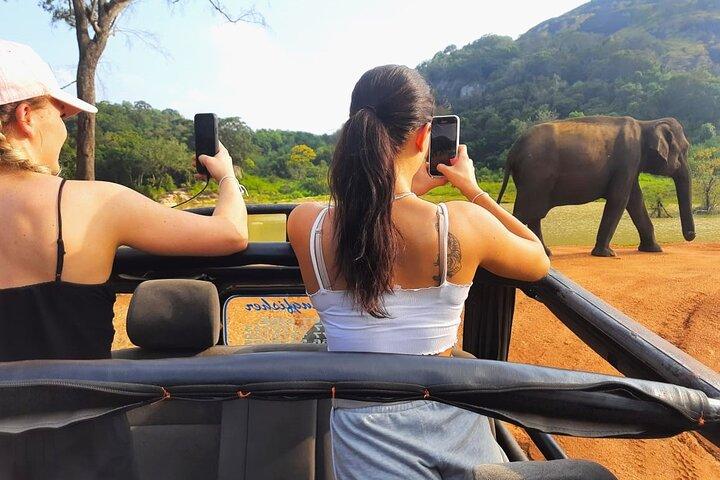 Sigiriya Rock Fortress and Dambulla Cave Tour with Lunch (Group)
