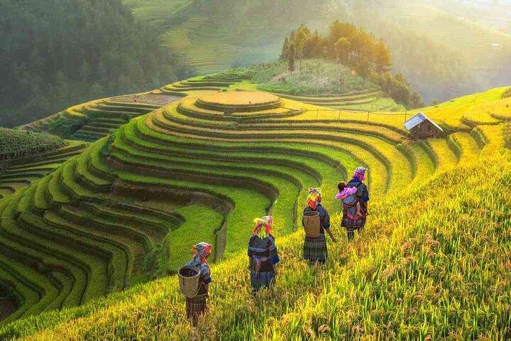 Explore Sapa Scenic Mountains and Rich Culture at 4 star hotel