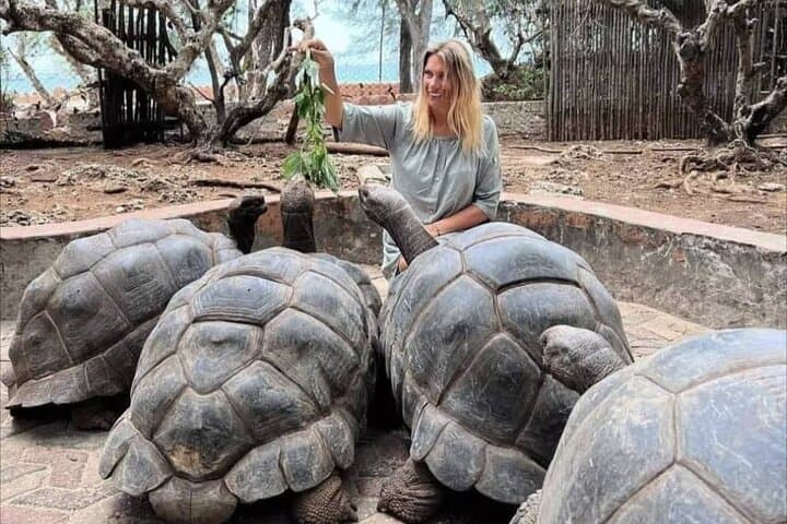 Private Full Day Tour to Spice Farm Stone Town and Prison Island