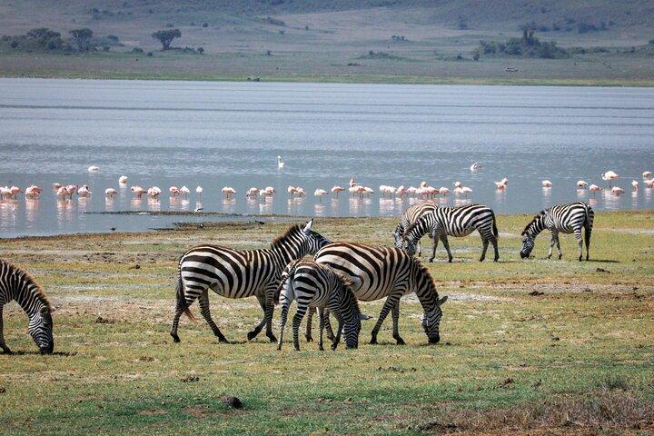 5 Days Safari Tarangire, Serengeti, Ngorongoro & Lake Manyara
