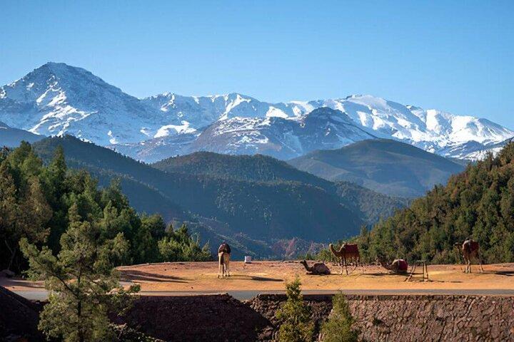 Ourika Valley, Atlas Mountains Day Trip From Marrakech