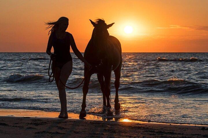 Casablanca Beach Horseback Riding Experience with Hotel Transfers