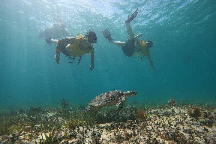 Cancun : All Inclusive Catamaran Tour to Isla Mujeres