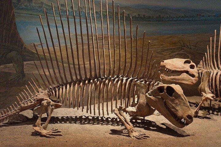 Drumheller and Badlands Full-Day Tour with a Small Group