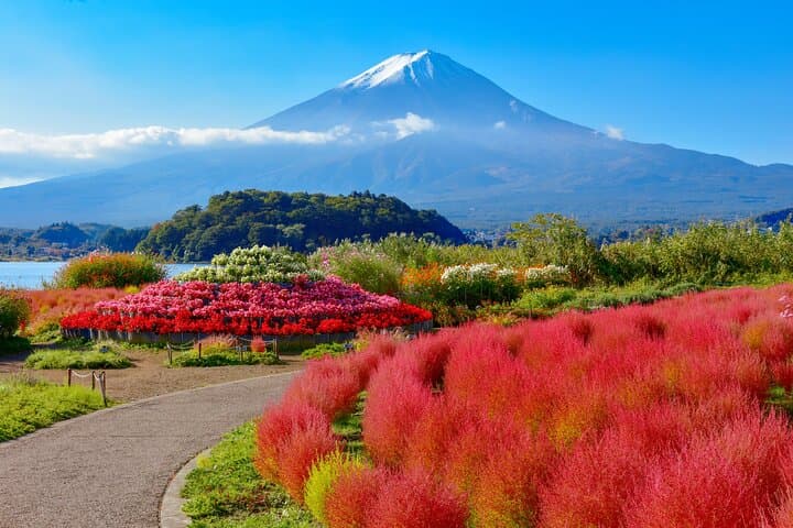 Mt Fuji Kawaguchi or Hakone customize private charter car service
