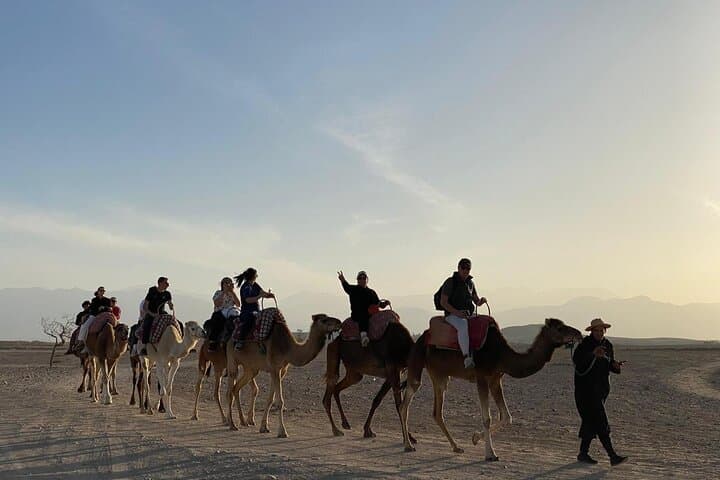 Private DayTrip to the Magistec of Atlas Mountains Valleys and Camel Ride