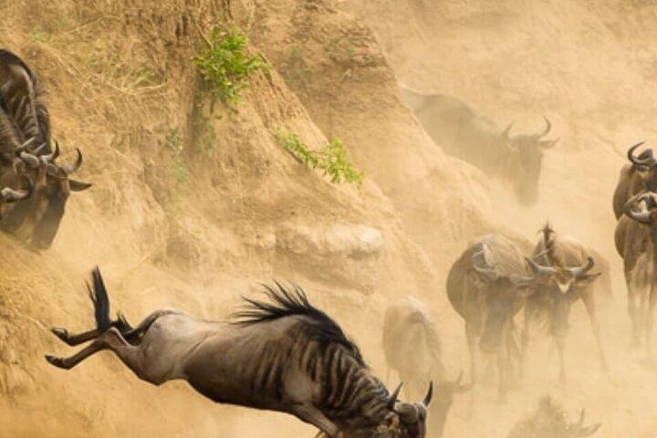 4-Day Serengeti Flying Safari Itinerary