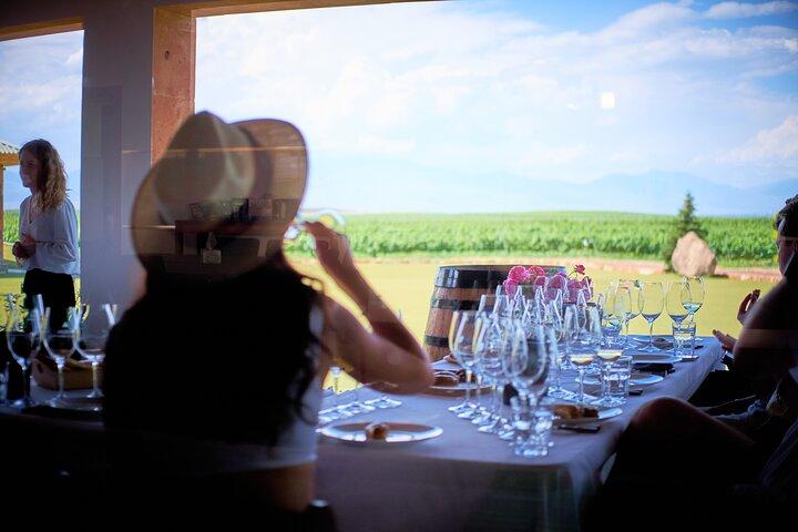 Vineyard Tour and Fine Wine Tasting Experience in Ararat Valley