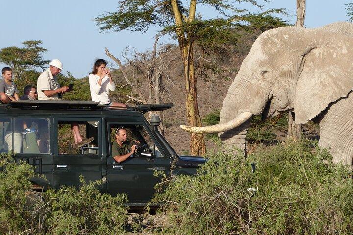 3 Days Amboseli National Park Magical Safari