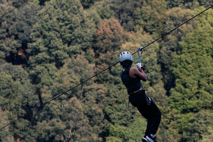 Cape Town Zipline and Wine Tasting Tour