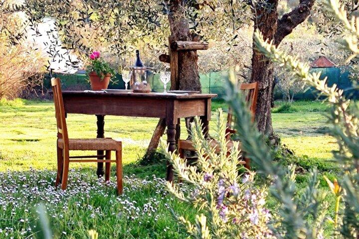 Focaccia Masterclass in Chianti: Cook, Taste & Savor Tuscany