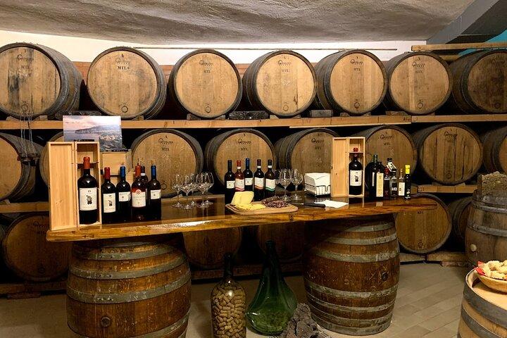 Sorrento Wine Tasting Experience and Cellar Guided Tour