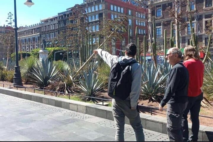 CDMX Historic Center Food Tour
