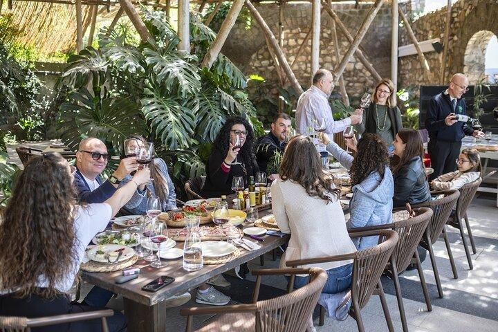 Sorrento Wine Tasting Experience and Cellar Guided Tour